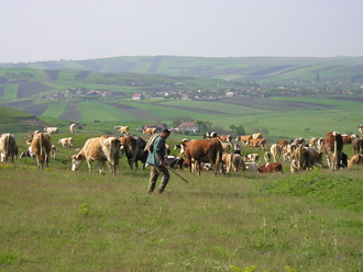 P1010084.JPG
