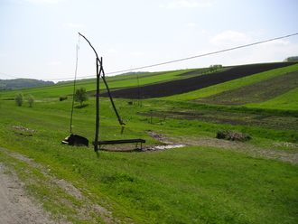 P1010089.JPG