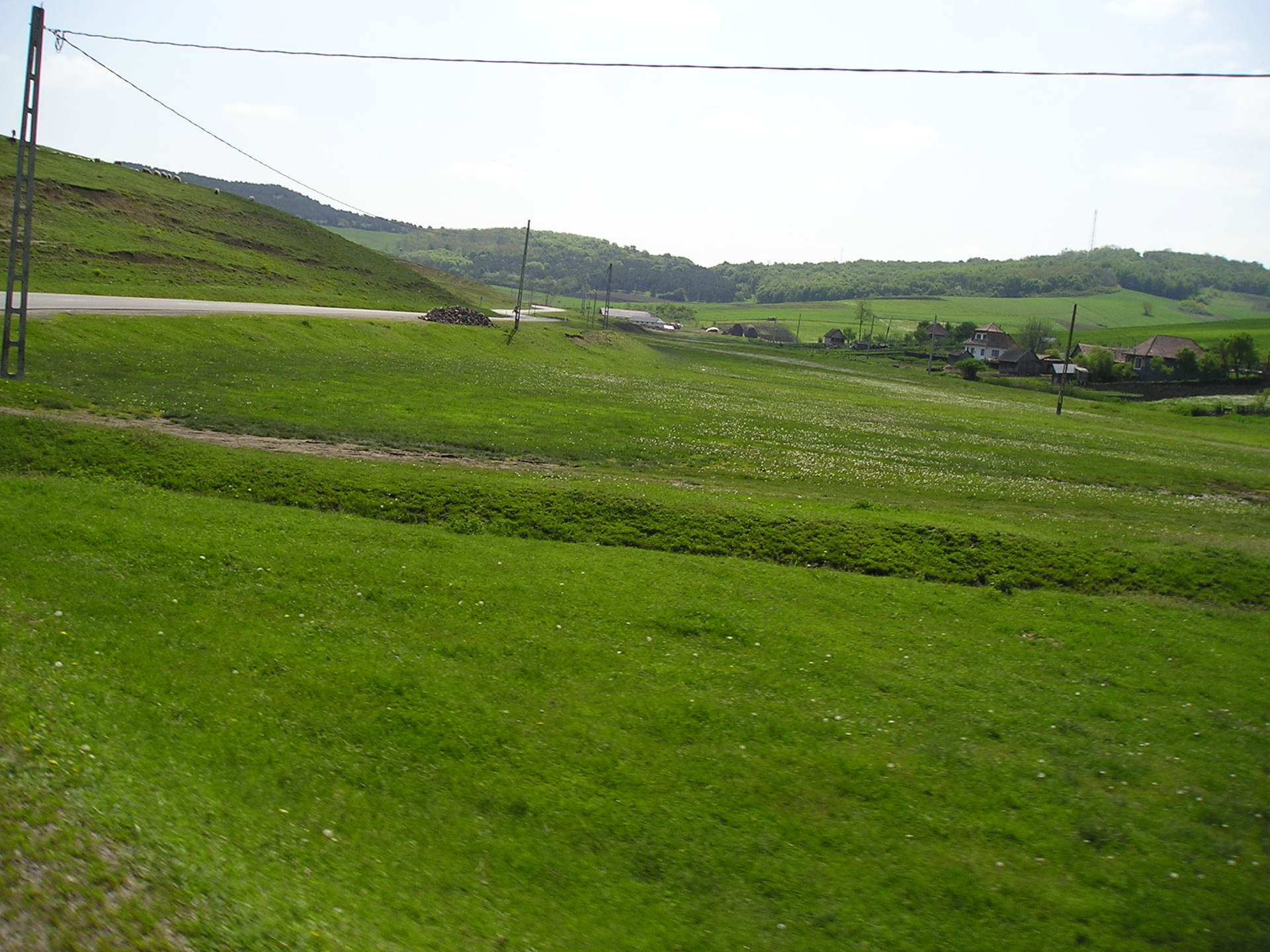 P1010092.JPG