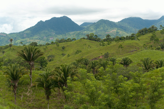 From Tela to La Ceiba