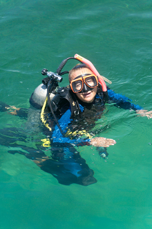 Diver Dasa