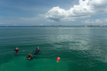 Diving course