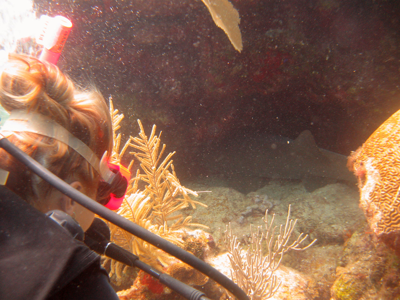 Dasa looking at a nurse shark, Underwater world by Dasa, Utila