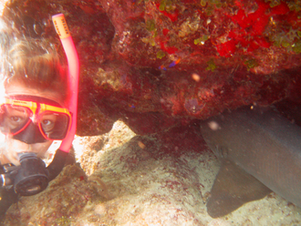 Dasa with nurse shark, Underwater world by Dasa, Utila