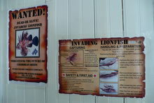 Danger lionfish