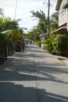 Utila