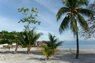 Utila
