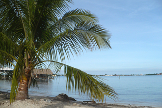 Utila