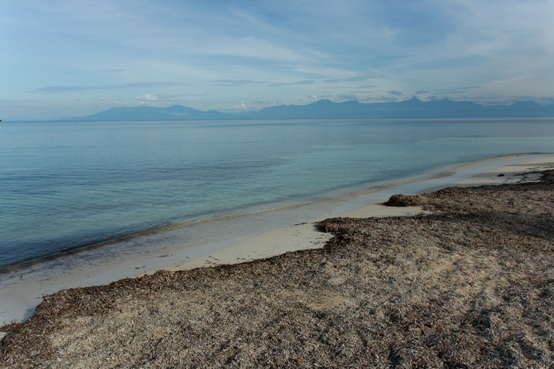 Utila beach