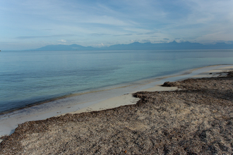 Utila beach