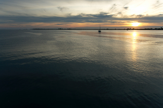 Utila