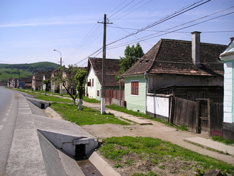 P1010113.JPG