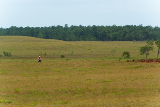 Savanas of La Mosquitia