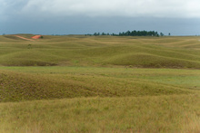 Savanas of La Mosquitia