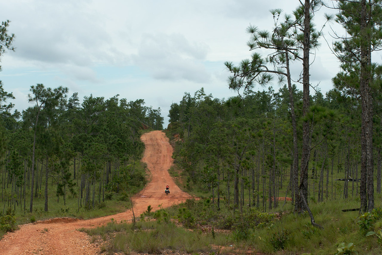 The road in La Mosquitia