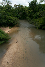 One of tens of rivers in La Mosquitia, Nicaragua