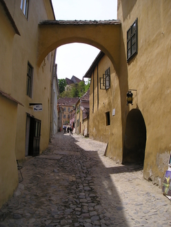 P1010123.JPG