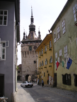 P1010124.JPG
