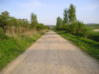 P1010128.JPG