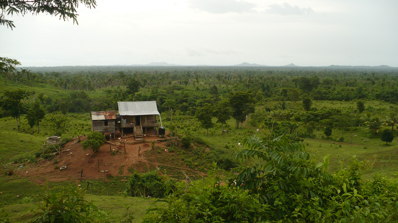 RAAN
