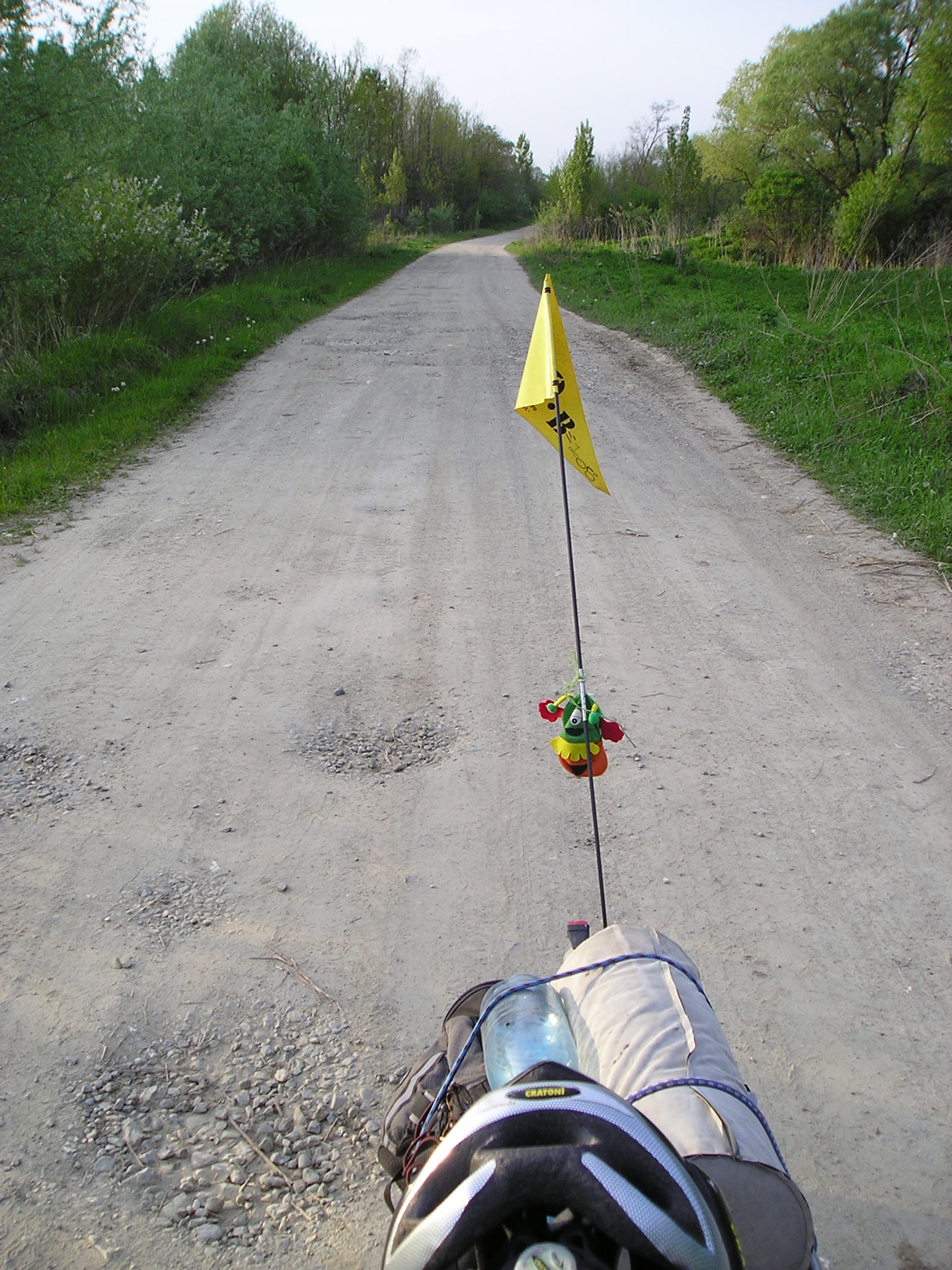 P1010129.JPG