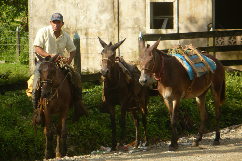 Village close to Mina la Rosita