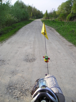 P1010129.JPG