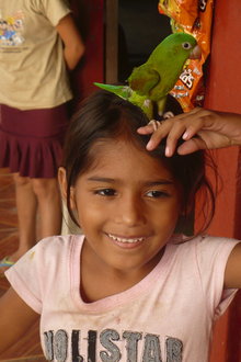 Close to Rosita, Atlantico Norte