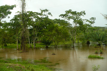 Floods in RAAN