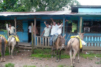Horses parked in front of the pub