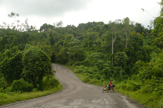 The rest of the jungle in RAAN
