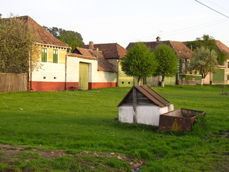 P1010131.JPG