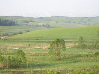 P1010133.JPG
