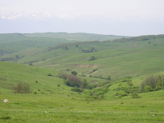 P1010137.JPG