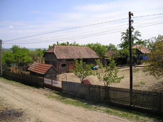 P1010095.JPG