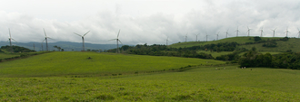 Close to Lago Arenal