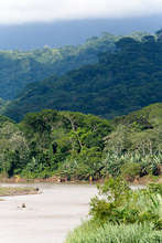 Rio Tarcoles, Costa Rica