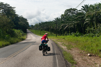 On the road through palm trees in Costa Rica