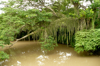 First kilometres in Costa Rica