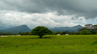 Heading to Liberia, Costa Rica