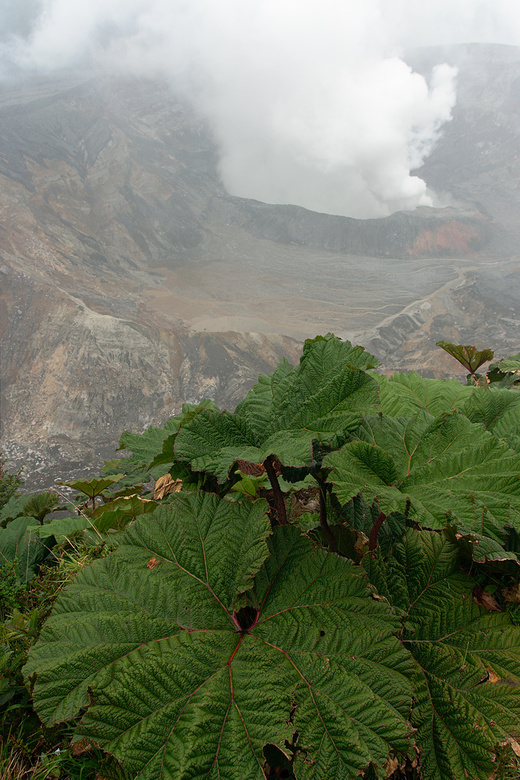 Active crater, Volcan Poas, Costa Rica