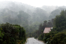 Rain in the jungle, Volcan Poas, Costa Rica