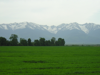 P1010147.JPG