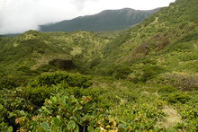 View in National Park Rincon de la Vieja, Costa Rica
