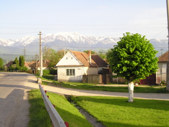 P1010151.JPG