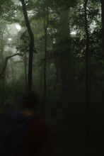 Raining in the rainforest of National Park Rincon de la Vieja, Costa Rica