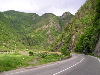 P5190162.JPG