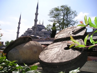 P1010161.JPG