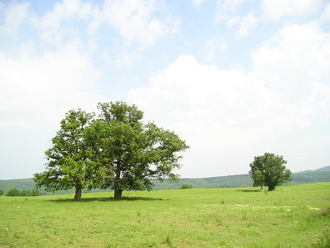P5260105.JPG