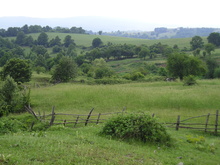 P5260115.JPG